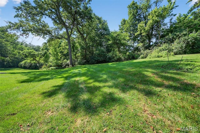 12549 Bickford Dr, Town And Country, MO 63141 - photo 58