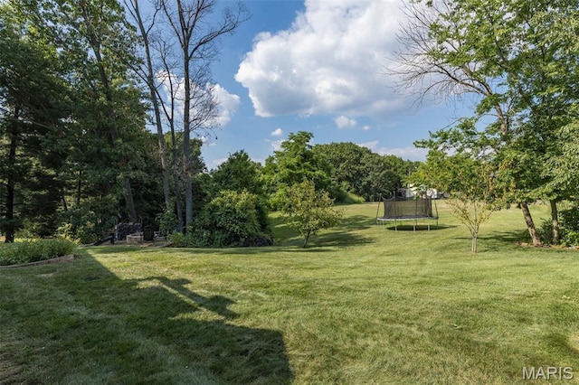 21 Sun Aire Dr, Arnold, MO 63010 - photo 51