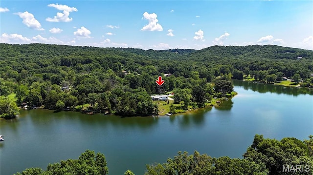 4244 N Shore Dr, Hillsboro, MO 63050