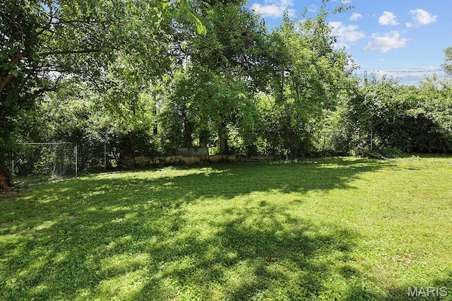 345 Mueller Ave, Ferguson, MO 63135 - view of yard