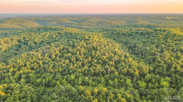 TBD37.42AC Broads Branch Rd, Macks Creek, MO 65786