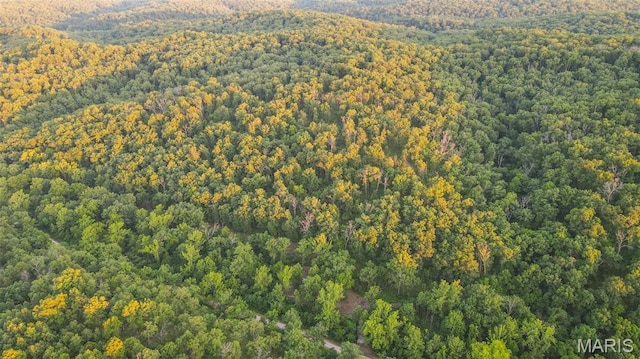 TBD37.42AC Broads Branch Rd, Macks Creek, MO 65786