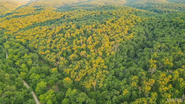 TBD37.42AC Broads Branch Rd, Macks Creek, MO 65786