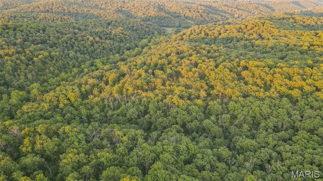 TBD37.42AC Broads Branch Rd, Macks Creek, MO 65786