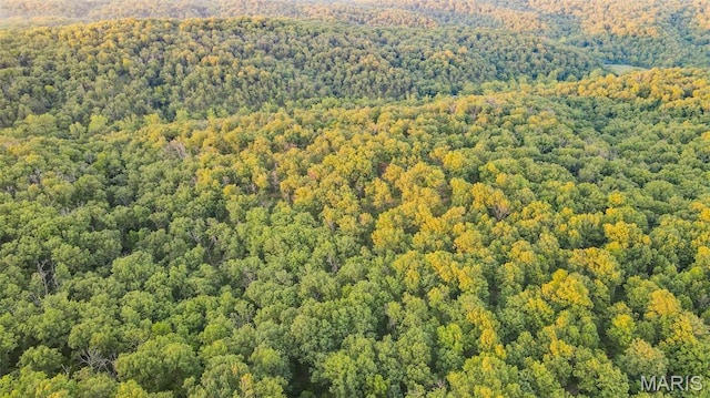 TBD37.42AC Broads Branch Rd, Macks Creek, MO 65786