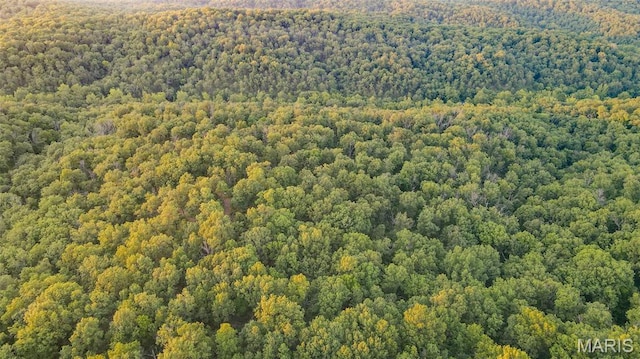 TBD37.42AC Broads Branch Rd, Macks Creek, MO 65786
