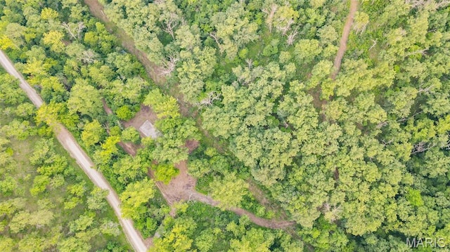 TBD37.42AC Broads Branch Rd, Macks Creek, MO 65786