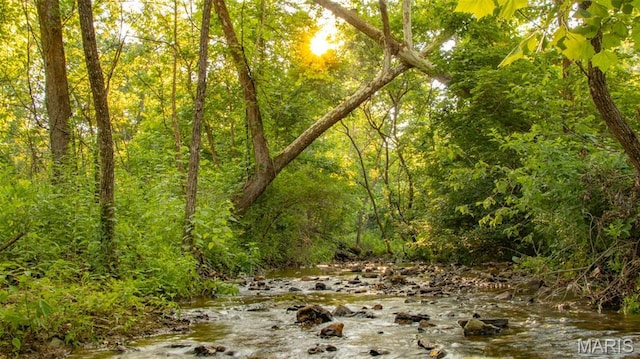 TBD37.42AC Broads Branch Rd, Macks Creek, MO 65786