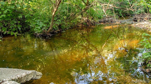 TBD37.42AC Broads Branch Rd, Macks Creek, MO 65786