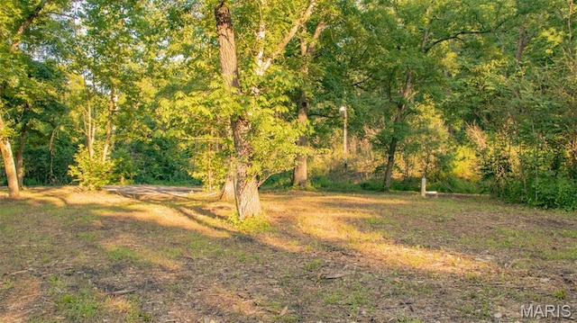 TBD37.42AC Broads Branch Rd, Macks Creek, MO 65786