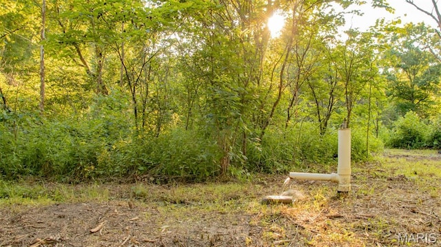 TBD37.42AC Broads Branch Rd, Macks Creek, MO 65786