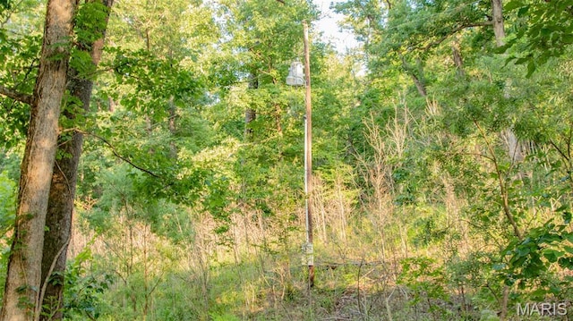 TBD37.42AC Broads Branch Rd, Macks Creek, MO 65786