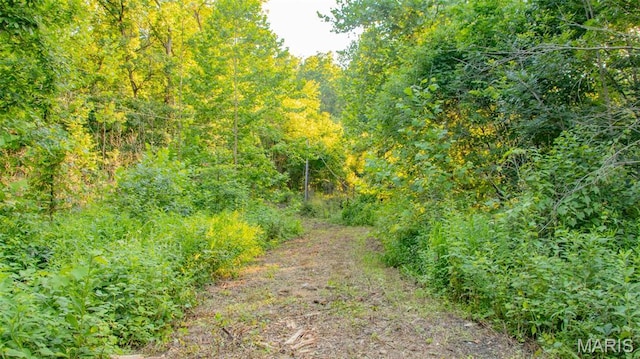 TBD37.42AC Broads Branch Rd, Macks Creek, MO 65786