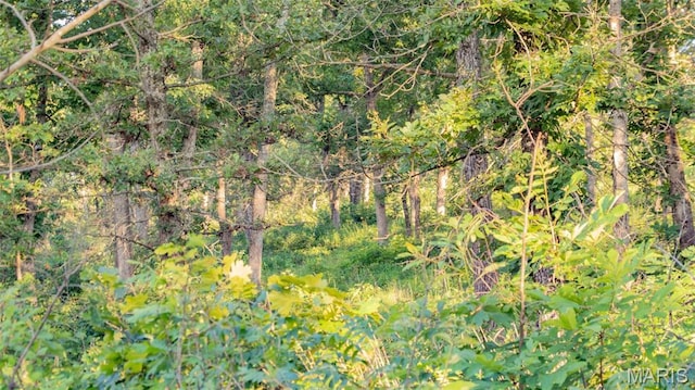 TBD37.42AC Broads Branch Rd, Macks Creek, MO 65786