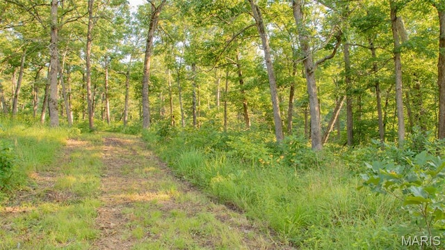TBD37.42AC Broads Branch Rd, Macks Creek, MO 65786