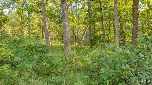 TBD37.42AC Broads Branch Rd, Macks Creek, MO 65786