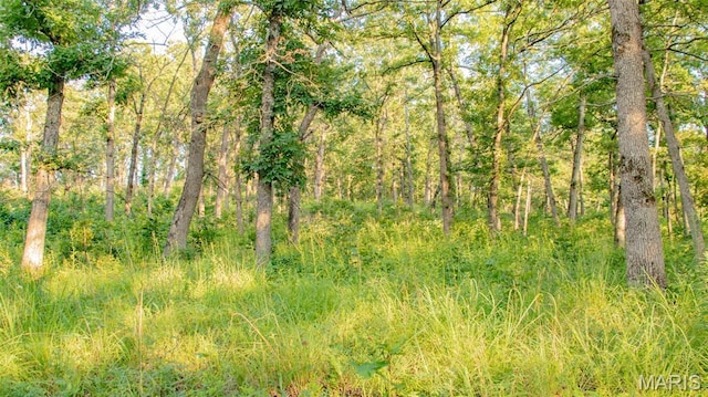 TBD37.42AC Broads Branch Rd, Macks Creek, MO 65786