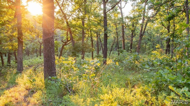 TBD37.42AC Broads Branch Rd, Macks Creek, MO 65786