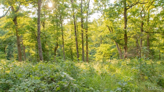 TBD37.42AC Broads Branch Rd, Macks Creek, MO 65786