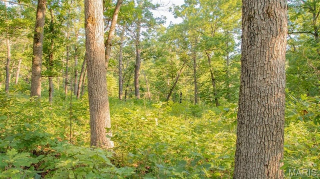 TBD37.42AC Broads Branch Rd, Macks Creek, MO 65786