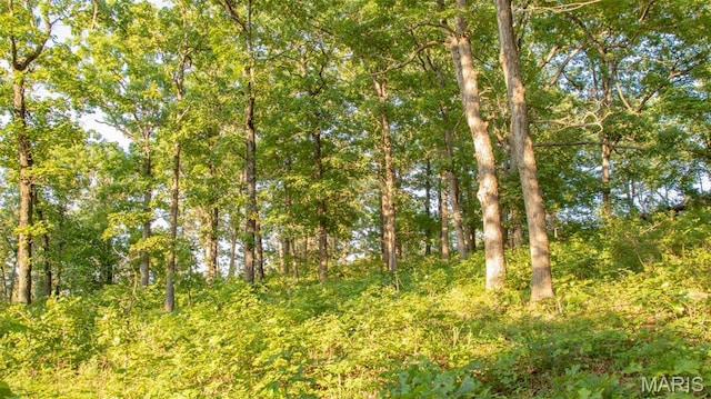 TBD37.42AC Broads Branch Rd, Macks Creek, MO 65786