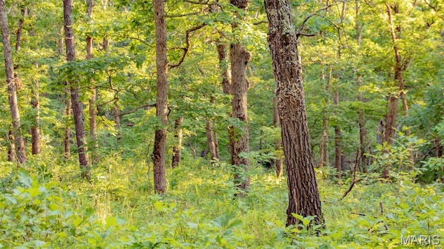 TBD37.42AC Broads Branch Rd, Macks Creek, MO 65786