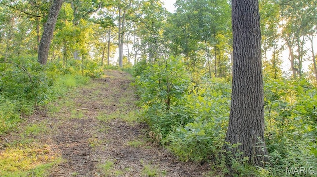 TBD37.42AC Broads Branch Rd, Macks Creek, MO 65786