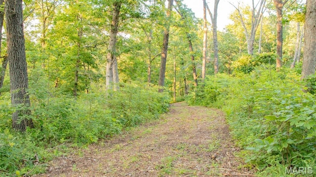 TBD37.42AC Broads Branch Rd, Macks Creek, MO 65786