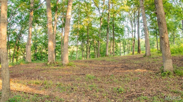 TBD37.42AC Broads Branch Rd, Macks Creek, MO 65786