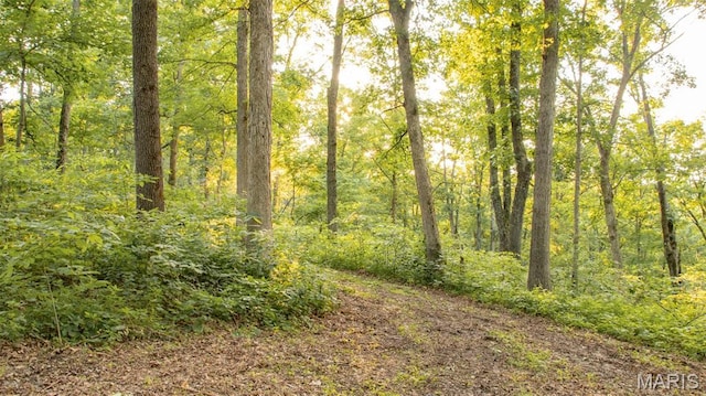 TBD37.42AC Broads Branch Rd, Macks Creek, MO 65786