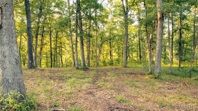 TBD37.42AC Broads Branch Rd, Macks Creek, MO 65786