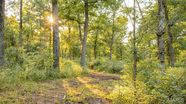 TBD37.42AC Broads Branch Rd, Macks Creek, MO 65786