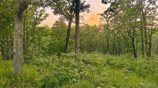 TBD37.42AC Broads Branch Rd, Macks Creek, MO 65786