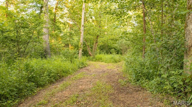 TBD37.42AC Broads Branch Rd, Macks Creek, MO 65786