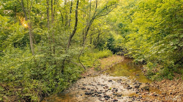 TBD37.42AC Broads Branch Rd, Macks Creek, MO 65786