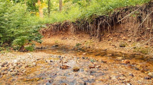 TBD37.42AC Broads Branch Rd, Macks Creek, MO 65786
