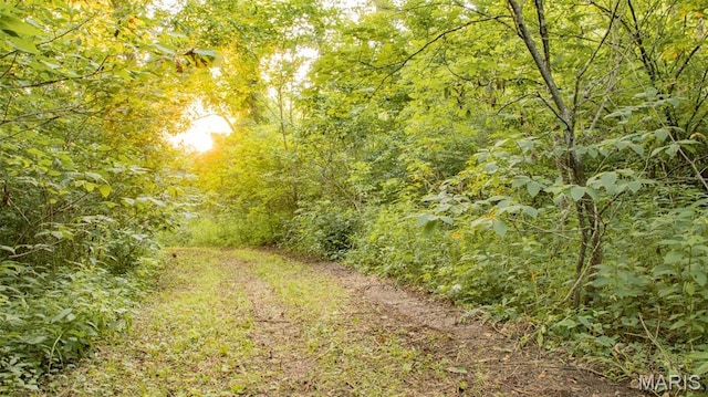 TBD37.42AC Broads Branch Rd, Macks Creek, MO 65786