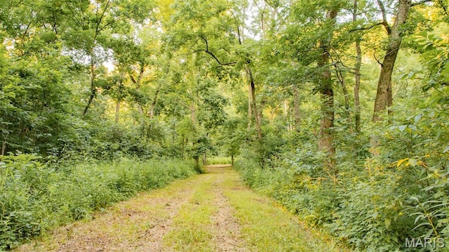 TBD37.42AC Broads Branch Rd, Macks Creek, MO 65786