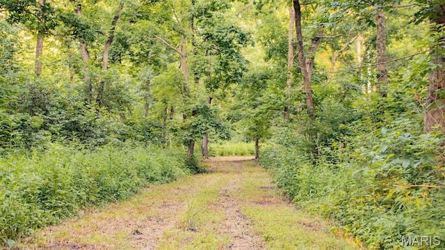 TBD37.42AC Broads Branch Rd, Macks Creek, MO 65786
