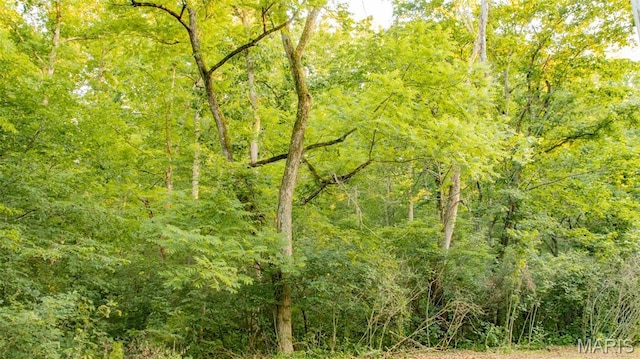 TBD37.42AC Broads Branch Rd, Macks Creek, MO 65786