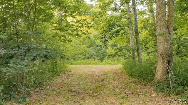 TBD37.42AC Broads Branch Rd, Macks Creek, MO 65786