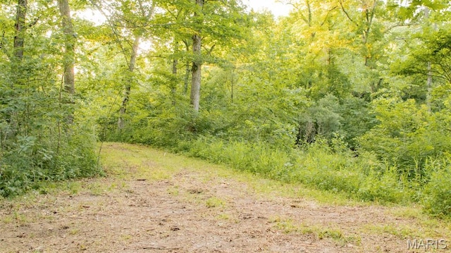 TBD37.42AC Broads Branch Rd, Macks Creek, MO 65786