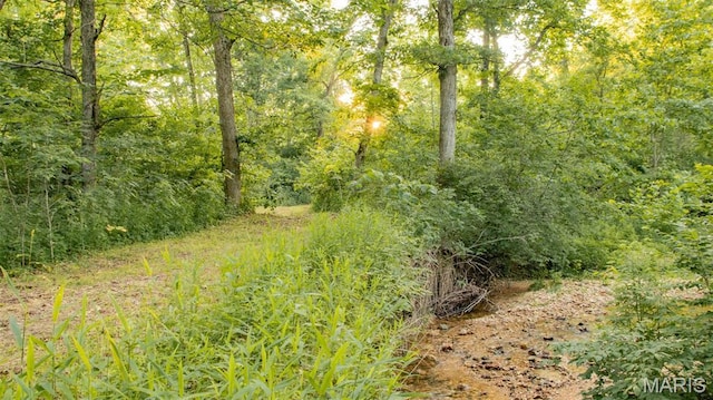 TBD37.42AC Broads Branch Rd, Macks Creek, MO 65786