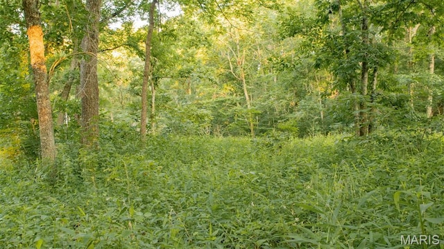 TBD37.42AC Broads Branch Rd, Macks Creek, MO 65786