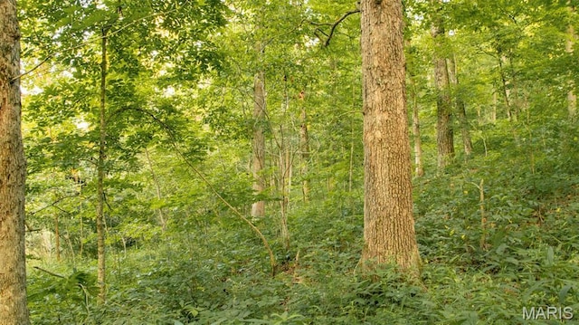 TBD37.42AC Broads Branch Rd, Macks Creek, MO 65786