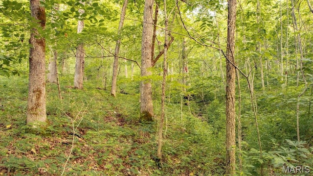 TBD37.42AC Broads Branch Rd, Macks Creek, MO 65786