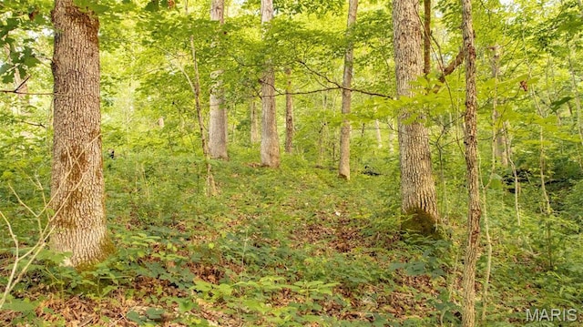 TBD37.42AC Broads Branch Rd, Macks Creek, MO 65786
