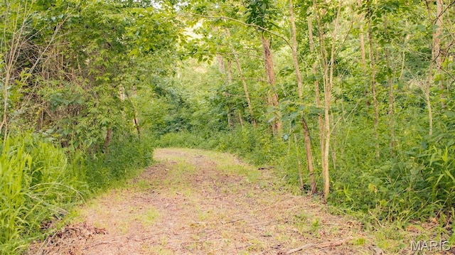 TBD37.42AC Broads Branch Rd, Macks Creek, MO 65786