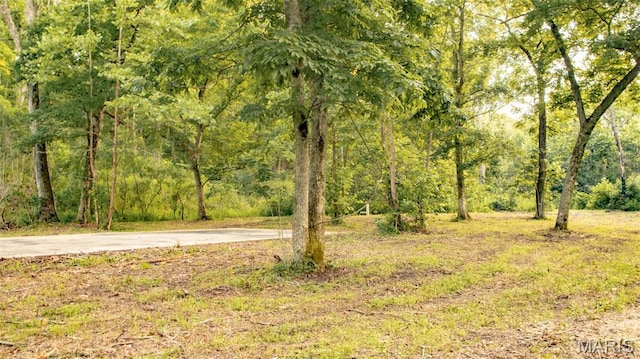 TBD37.42AC Broads Branch Rd, Macks Creek, MO 65786