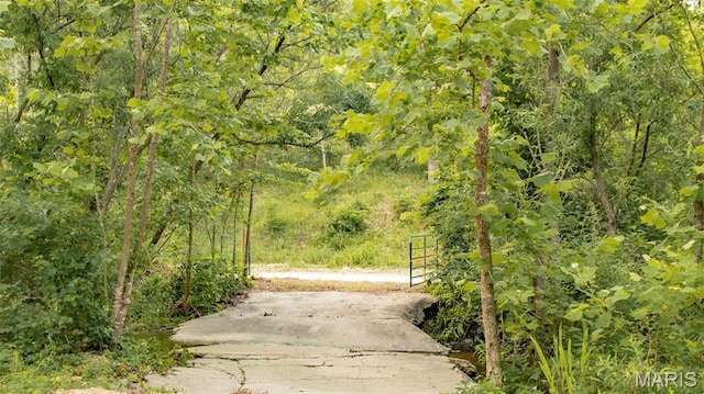 TBD37.42AC Broads Branch Rd, Macks Creek, MO 65786